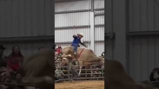 KIKITO DE JALISCO LE ACABA DE QUITAR LO INVICTO AL G63😱😱 jaripeo shorts [upl. by Htinek804]