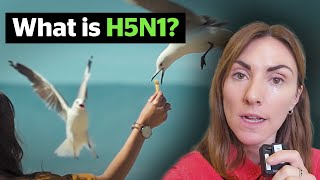 What is H5N1 and why does it matter [upl. by Alegnaed]