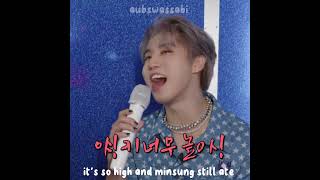 minsung singing IUs Good Day ✨ straykids stay leeknow jisung minsung 44 [upl. by Alphonsa]