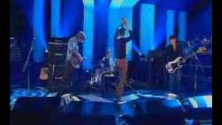 babyshambles  fuck forever live on jools holland [upl. by Jamel415]