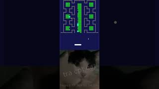 chipichipi cat tra cpt brickbreaker videogames shortviral funny cute chipichipi ep 326 [upl. by Matland]