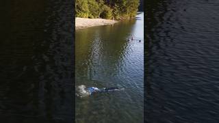 Drone Captures Sighting of Mermaid at the Lake realmermaid mermaid imadethis [upl. by Nigen148]