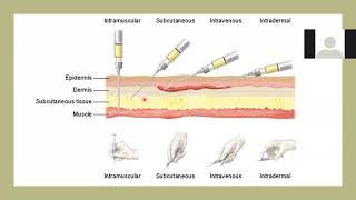 Absorpsi obat obat nonoral Kuliah Biofarmasetika 2 ke10 [upl. by Utica]