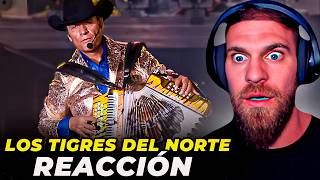 ME SHOCKEÓ 😱¨CONTRABANDO Y TRAICIÓN¨ LOS TIGRES DEL NORTE 🤯  MARK MIRANDA REACCIÓN y ANÁLISIS [upl. by Gronseth]