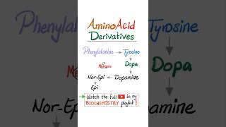 Amino Acid Derivatives  Part 1…biochemistry biology science nurse doctor mbbs nclex usmle [upl. by Rudie699]