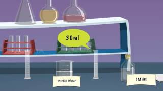 Kinetics Study on the Reaction between Sodium Thiosulphate and Hydrochloric Acid  MeitY OLabs [upl. by Stultz957]