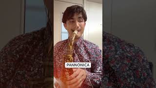 【PANNONICA】jazz saxophone ジャズ [upl. by Erdua714]