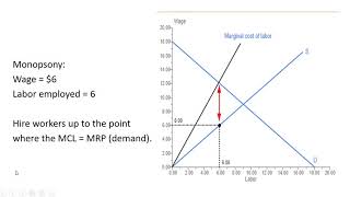 Monopsony and Minimum Wage [upl. by Ylloj336]