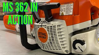 STIHL MS 362 REVIEW [upl. by Llehsem]