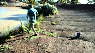 Catching Yabbies in Western Australia [upl. by Yesnnyl]