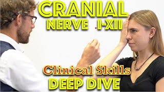 Cranial Nerve Examination  Deep Dive  Clinical Skills  Dr Gill [upl. by Martyn946]