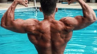 How To Get a Bigger Back Calisthenics Bar Brothers [upl. by Filipe]