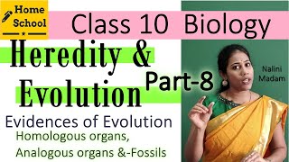 Heredity amp Evolution  class 10 Biology  Evidences of Evolution Part8 [upl. by Sherie]