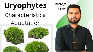 Bryophytes characteristics and Adaptations class 11  Biology [upl. by Nnyre]