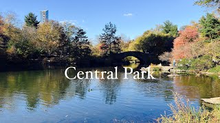 4K  Central Park New York Walking Tour  Central Park Fall Foliage 🍁🍂 [upl. by Swee715]