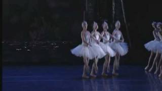 Swan Lake Act II  Cygnets Dance [upl. by Anastas]