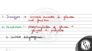 Match ListI with ListII ListI Enzyme ListII Process involved in A Invertase I Con [upl. by Coral411]