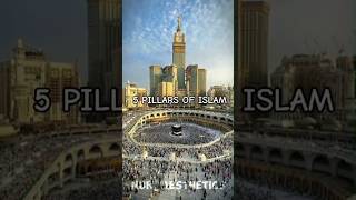 5 Pillars of Islam✨️ youtubeshorts islam islamic 5pillarsofislam maulayasalli [upl. by Yatnoj]