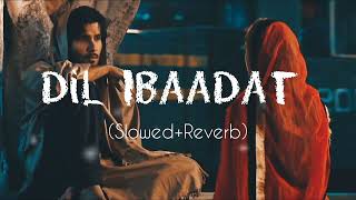 Dil Ibaadat Kar Raha Hai  New lofi song  sad hindi slowedreverb lofi slowedandreverb [upl. by Mirth953]