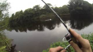 Salmon fishing in IRELAND cokerry [upl. by Fleischer708]