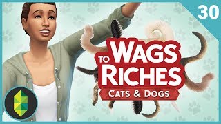 Wags to Riches  Part 30 Sims 4 Cats amp Dogs [upl. by Airetnahs464]