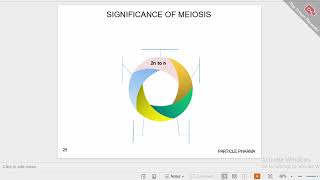 CELL DIVISION PART 7MEIOSIS II and their phases [upl. by Leahpar]