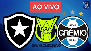 BOTAFOGO X GRÊMIO FICAM NO 0 X 0 NA 28ª RODADA DO BRASILEIRÃO NO MANÉ GARRINCHA [upl. by Clair]