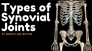 Types of Synovial Joints [upl. by Neenaej197]