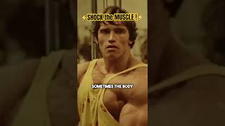 Arnold Schwarzenegger Reveals the Secret of How to Shock the Muscle shorts [upl. by Nevaed]