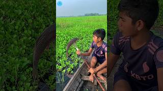 😲 Best Boat Fishing With Kotch 🌻part 145boatfishing viral shorts fish naturalfishingbigfish [upl. by Ahtenak]