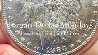 PVC  ENVIRONMENTAL DAMAGE  “MORGAN DOLLAR MONDAYS” with MASSABESIC GOLD and SILVER [upl. by Reich815]