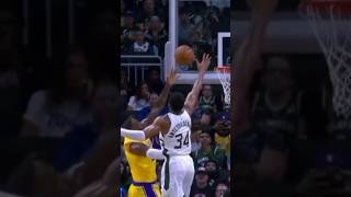 Block by Giannis😱 nba lebronjames giannisantetokounmpo lakers milwaukeebucks [upl. by Manup]