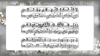 Bortkiewicz Consolation Op 17 No 2 Garritan Yamaha CFX Piano [upl. by Nauwaj]