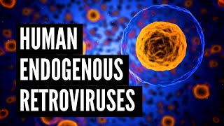 Human Endogenous Retroviruses HERVs [upl. by Twila]