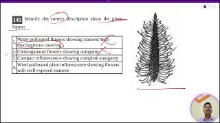 Identify the correct description about the givenfigure1 Water pollinated flowers showing stamens [upl. by Quinn]