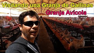 Visitando una Granja de Gallinas🐔 Empresa Avicola 🐔 de mi pueblo Vblog121 [upl. by Lafleur]