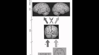 Recherches en neuroéducation  étudier comment le cerveau apprend à lire et à compter [upl. by Saixela]