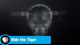 RIDE THE TIGER  The Benefits of Electroconvulsive Therapy  PBS [upl. by Ahseret578]