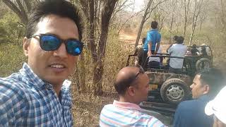 Sariska tiger reserve visit by Amanbagh staff part 2 [upl. by Nessah127]