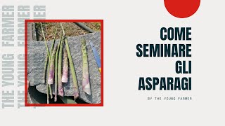 come seminare coltivare gli asparagi [upl. by Morganstein]