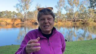 Albury Wodonga Regional Hospital Walk On Country [upl. by Nnomae]