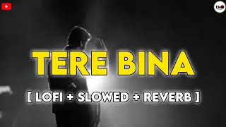 TERE BINA  lofi slowed reverb   new hindi song  arjit Singh  entertainment Music official [upl. by Ynnad215]