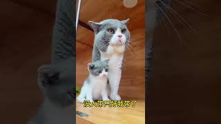 Cute baby cat cat lovecats cats catvideos kittens catlover princesscat  1 266 [upl. by Arymahs320]