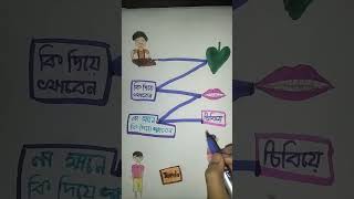 Ki diye khabar  short video  you tube  Riya Riyansh Creation you [upl. by Rhodie701]