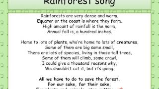 Rainforest Song [upl. by Ariay]