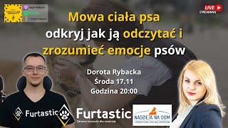 Mowa ciała psa  odkryj jak ją odczytać i zrozumieć emocje psów [upl. by Dragon]