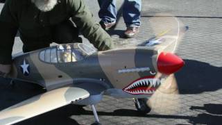 Daves Giant Scale P40 Warhawk [upl. by Xilef]