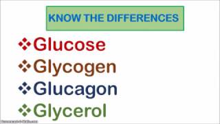 Glucose Glycogen Glucagon and Glycerol [upl. by Retniw]