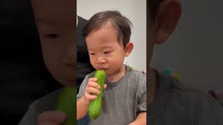 Cucumbers or 100  Toilet Paper Roll Challenge [upl. by Comras]