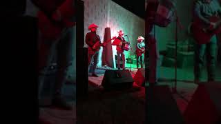 Novillos de la sierra En vivo Ej Chihuahuita Maldito amor [upl. by Tayyebeb]